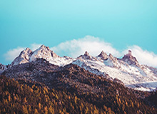 女主重生农村的小说